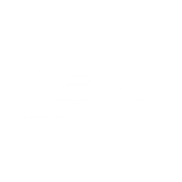 NEW BRASIL