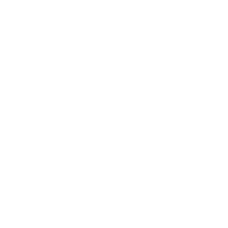 LEO & LULLY