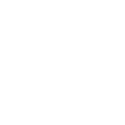 ROOKIE BLUE