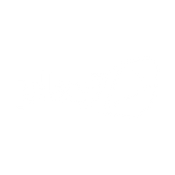 PLAY TV