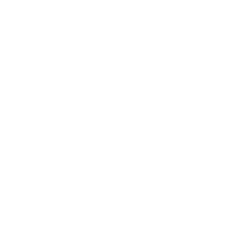 HISTORY 2
