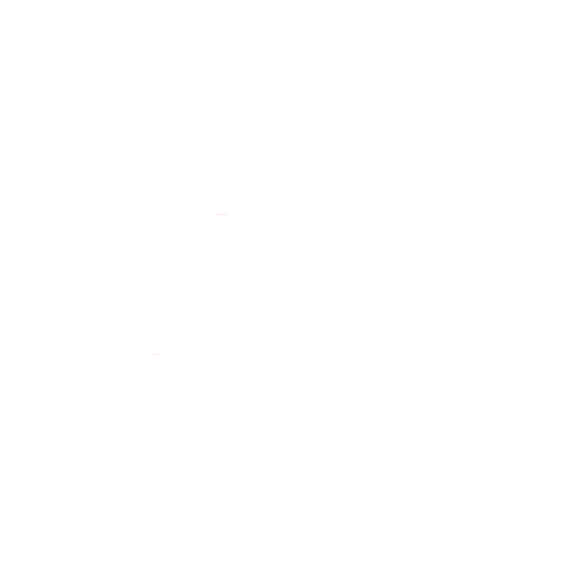 LIFETIME